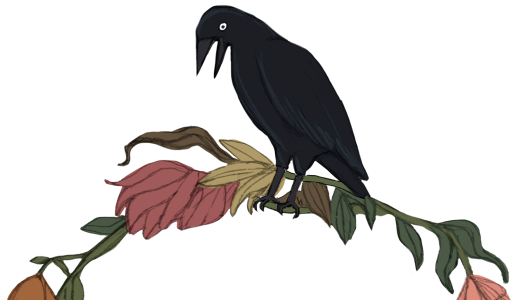 ilustración de un cuervo